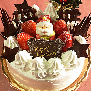 2010-christmas-cake1.jpg